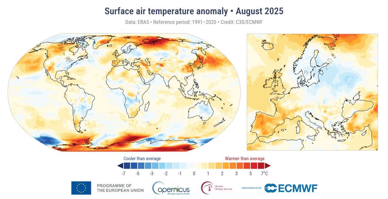 Anomaly: +0.49°C